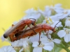 img_7635