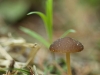 img_9446
